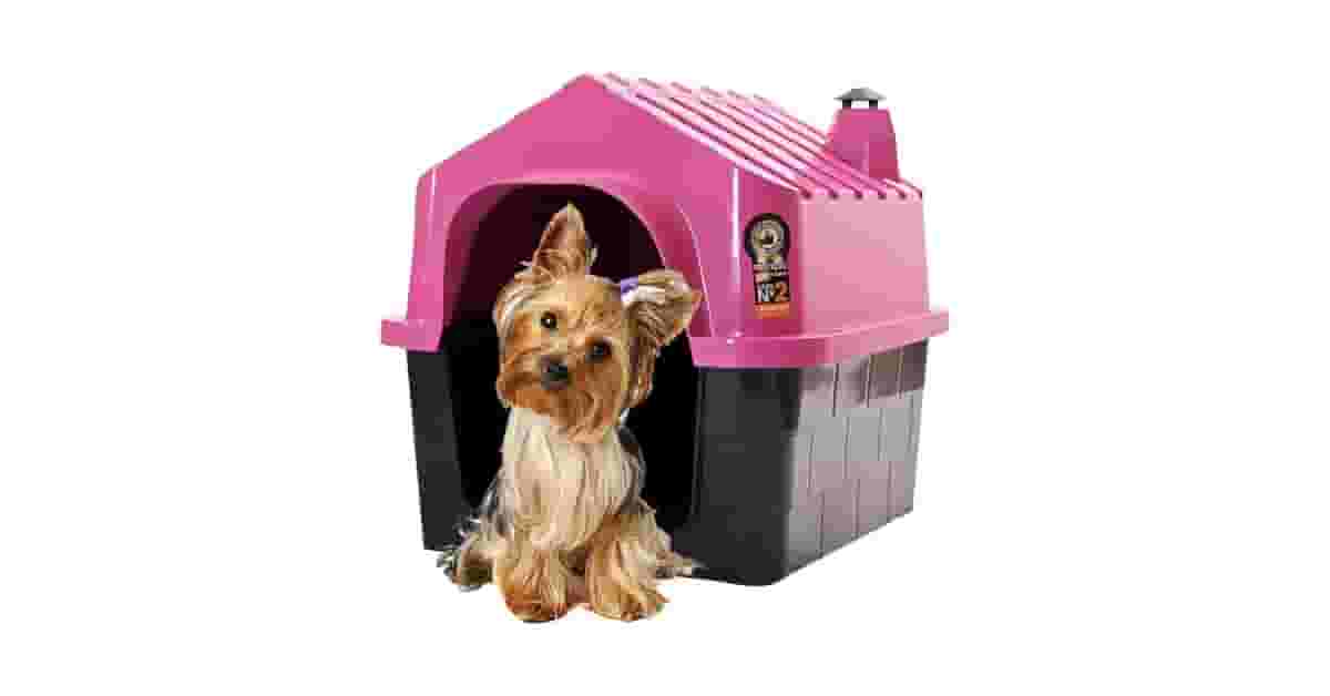 Melhor Tipo de Casa para Cachorro: Proteção e Conforto!