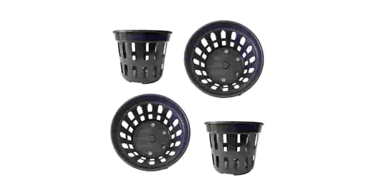 Melhor Vaso para Plantar Zamioculca: Guia Essencial