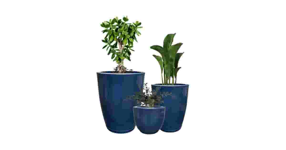 Melhor Vaso para Plantas: 5 Opções Duráveis e Elegantes