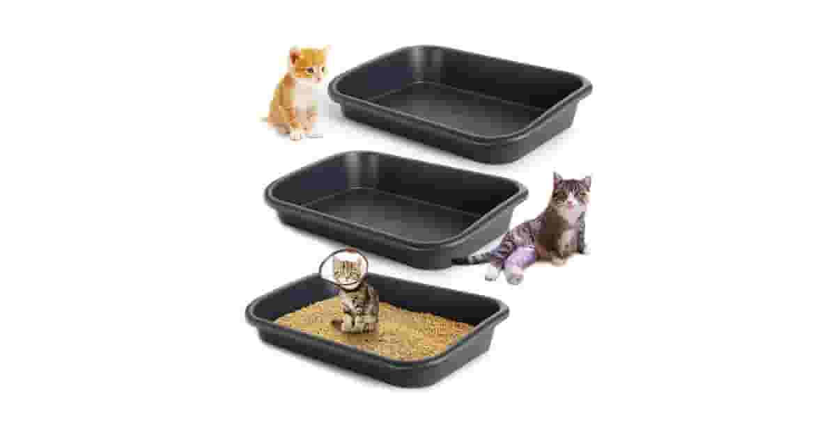 Qual a Melhor Caixa de Areia para Gatos Idosos com Entrada Baixa: 10 Opções de Acesso Fácil