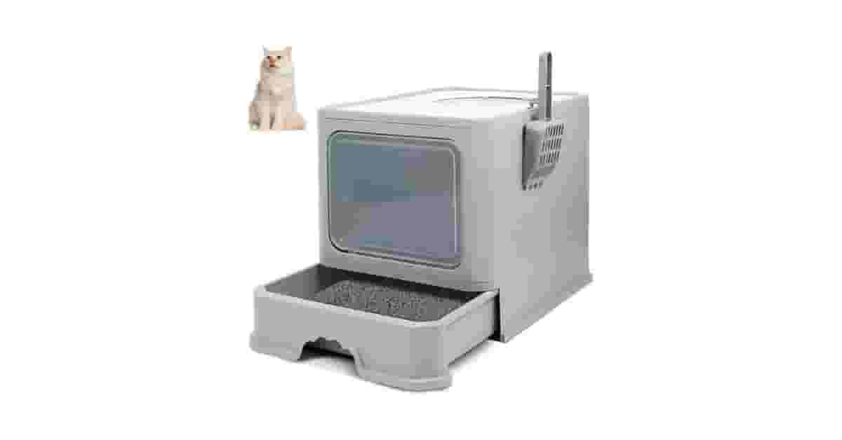 Qual a Melhor Caixa de Areia para Gatos que Não Gostam de Porta? 5 Opções Abertas