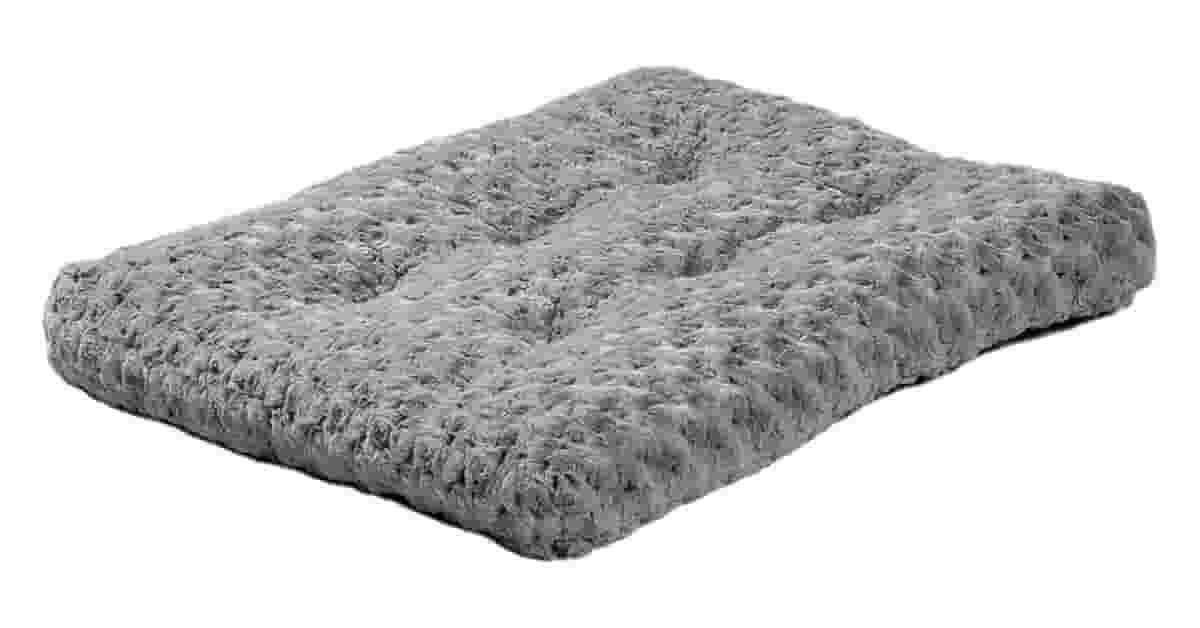 Qual a melhor cama para gatos lavável: 10 Opções Higiênicas