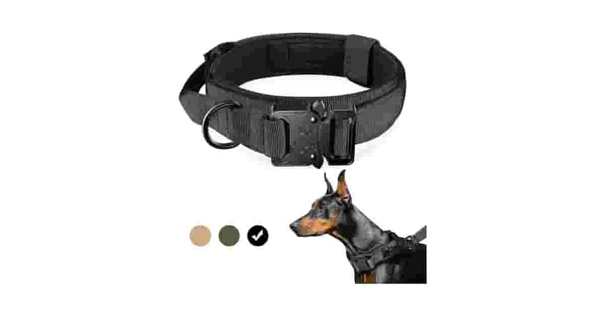 Qual a Melhor Coleira para Cachorro com Alça de Controle? Análise de 8 Modelos Táticos