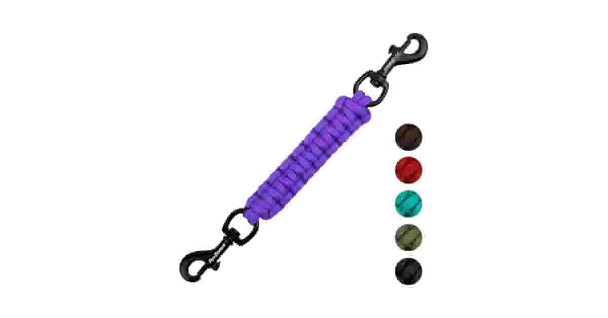 Qual a Melhor Coleira com Fecho de Segurança? Guia