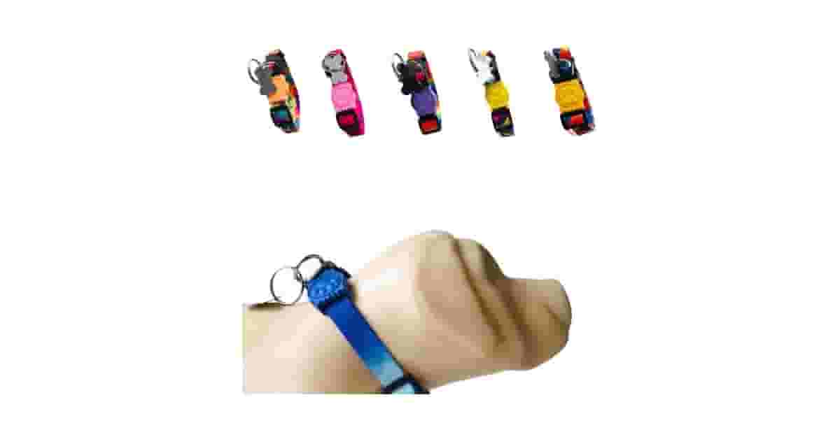 Qual a Melhor Coleira para Cachorro com Pingente de Identificação? 8 Modelos Avaliados