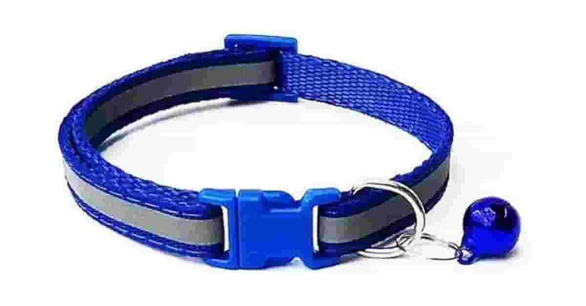 Qual a Melhor Coleira para Cachorro com Refletor?