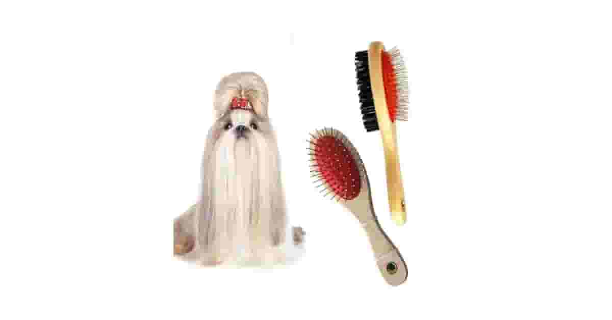 Qual a Melhor Escova para Cães de Pelo Longo: Análise de 10 Ferramentas Essenciais para Remover Subpelo