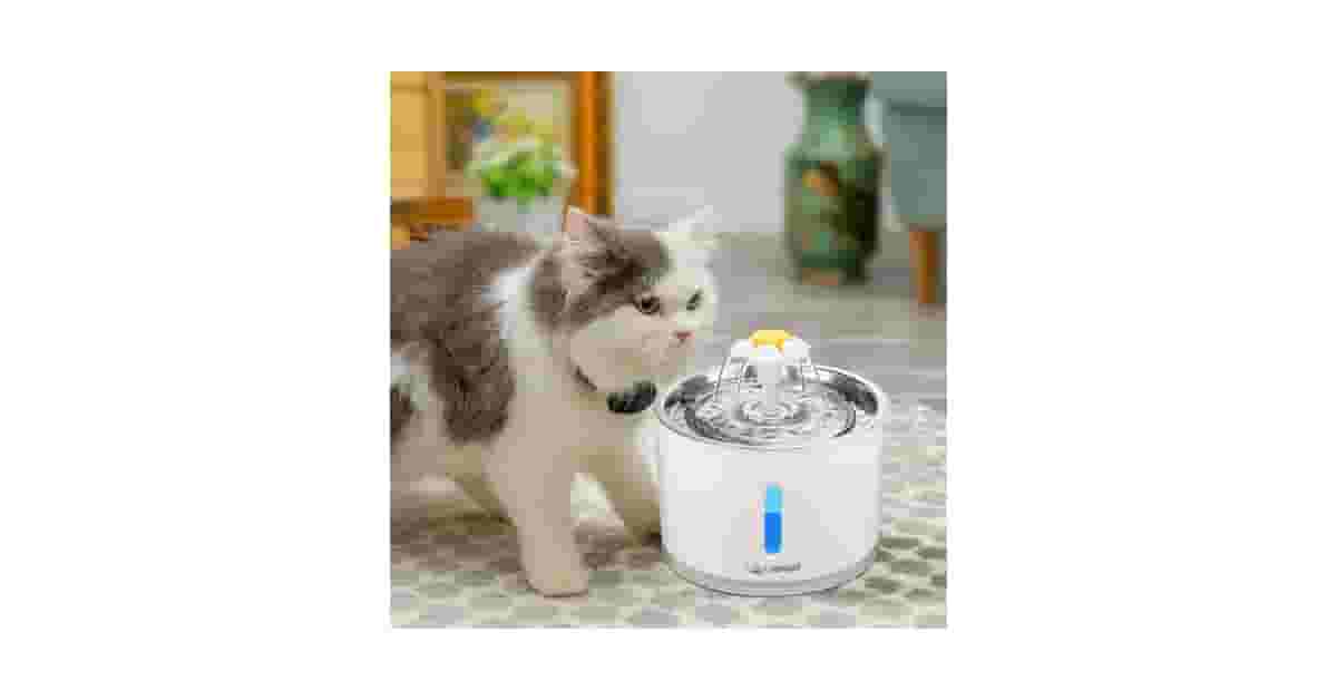 Qual a Melhor Fonte para Gatos com Filtro de Carvão e Bomba Silenciosa: Guia com 8 Análises