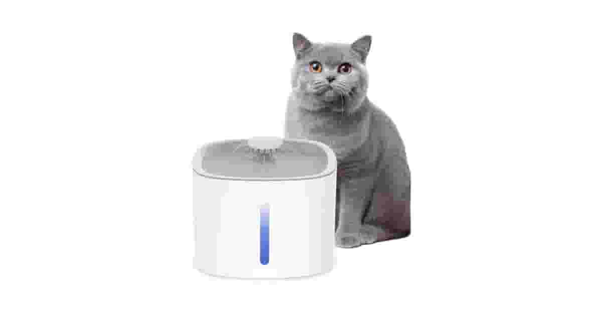 Qual a Melhor Fonte p/ Gatos com Filtro e Luz?