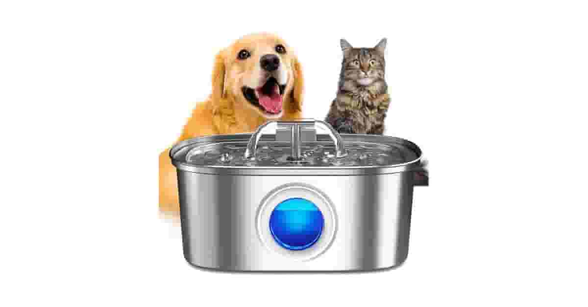 Qual a Melhor Fonte para Gatos com Reservatório Grande: 9 Opções Analisadas