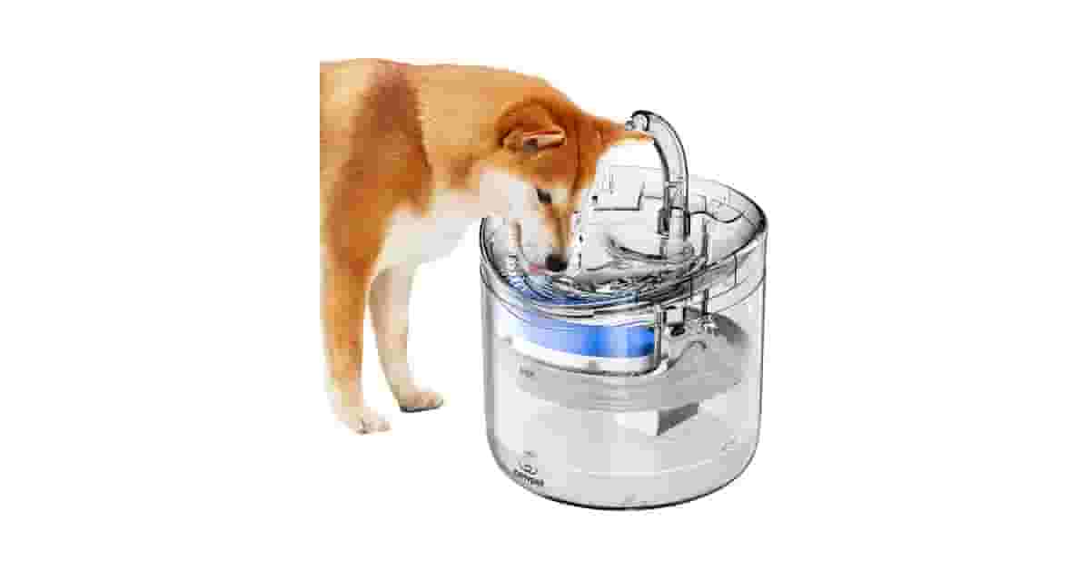 Qual a Melhor Fonte para Gatos que Não Usa Eletricidade: 4 Opções