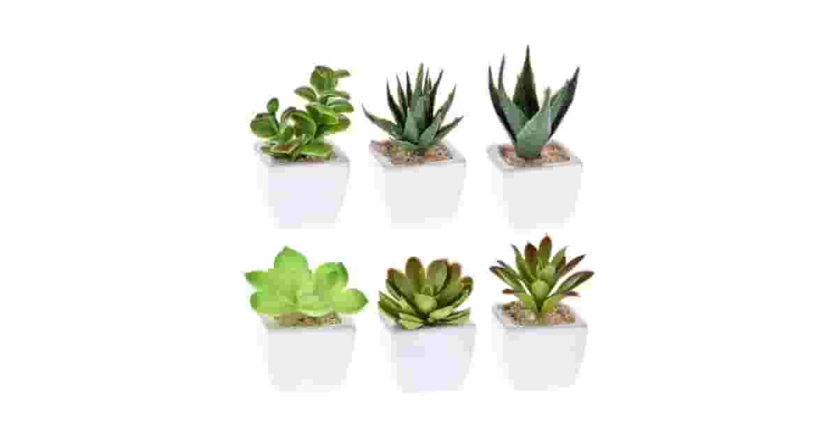 Qual a Melhor Suculenta Artificial? Análise das 10