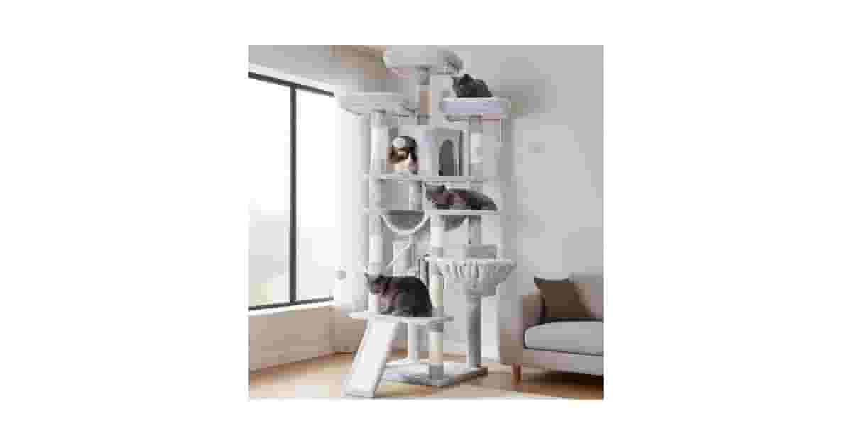 Qual o Melhor Arranhador com Vários Níveis? Top 10