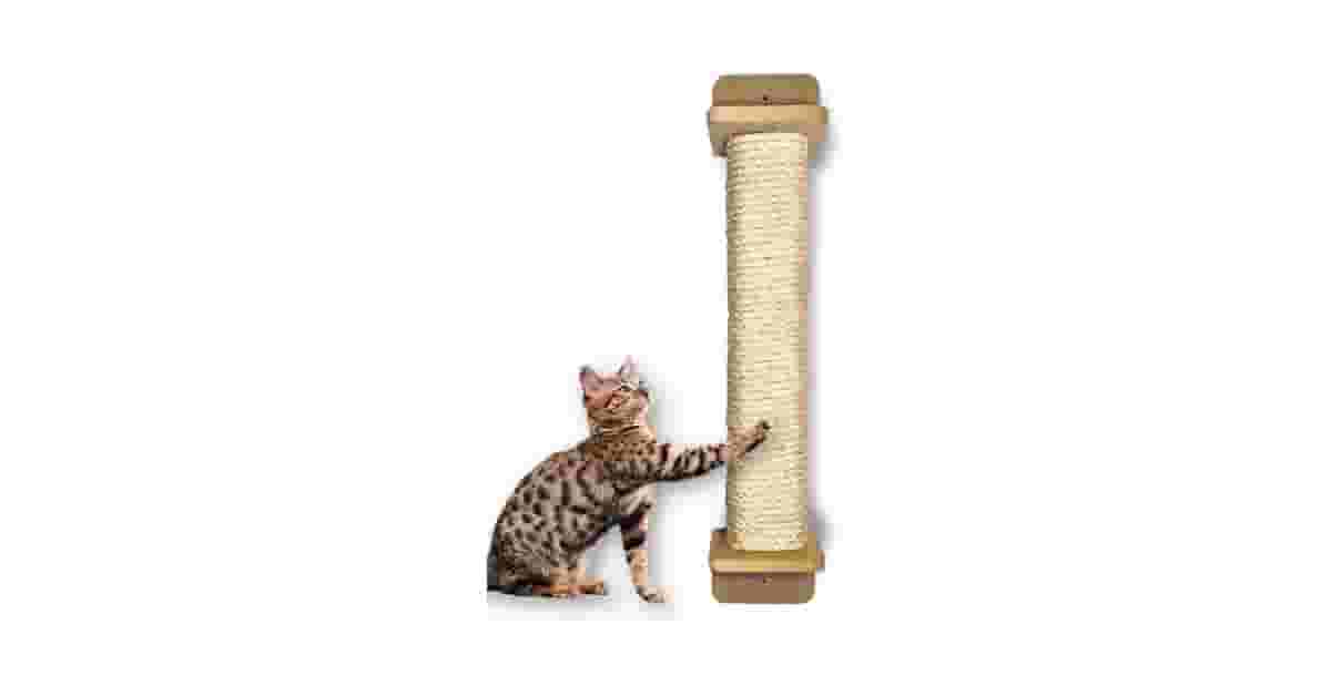 Qual o Melhor Arranhador de Sisal para Porta? 8 Opções