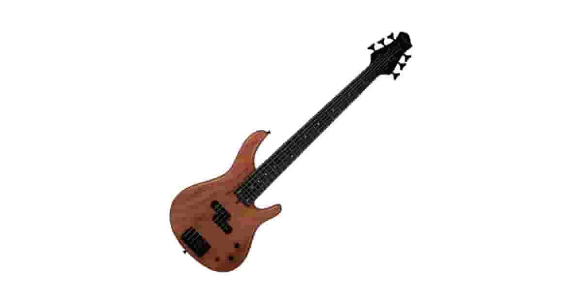 Qual o Melhor Baixo de 6 Cordas: Guia Ativo vs. Passivo