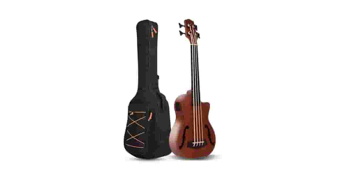 Qual o melhor baixo sem trastes (fretless) compacto?