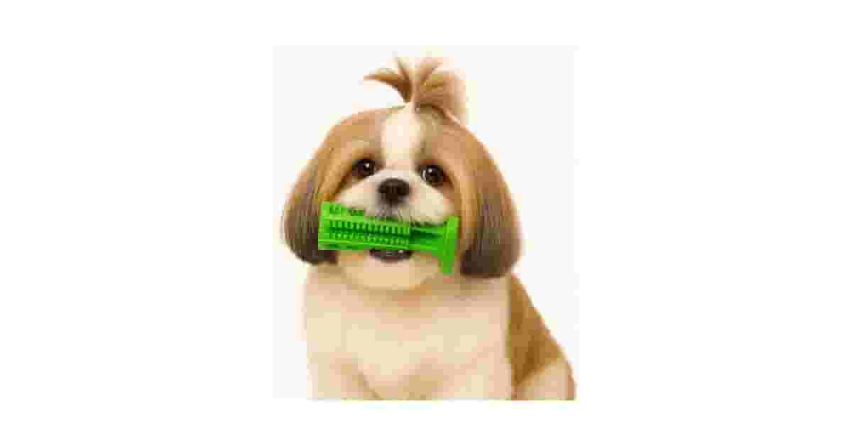 Qual o melhor brinquedo para cães que ajuda a limpar os dentes? Top 10