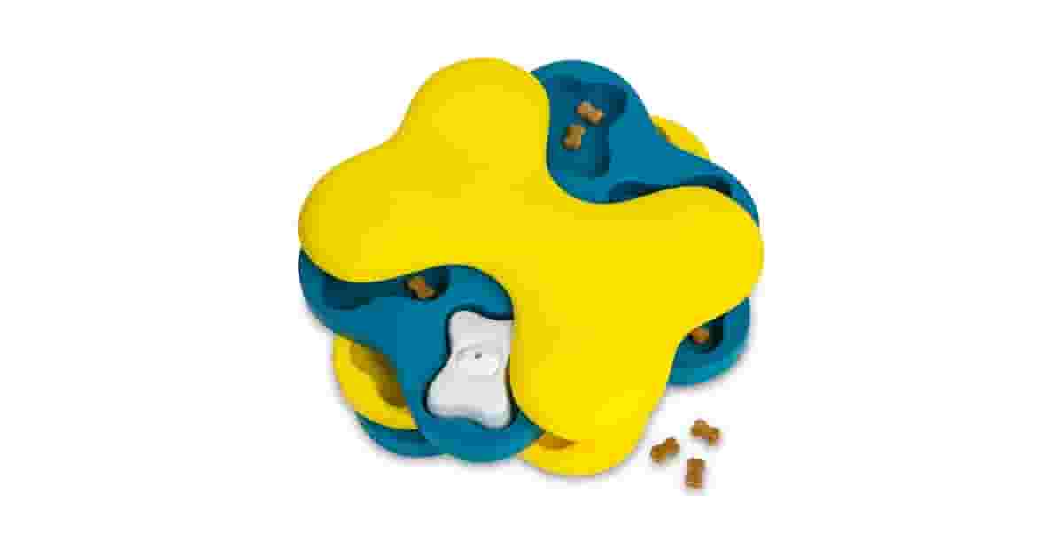 Qual o Melhor Brinquedo Para Cães Que Ficam Entediados e Ansiosos