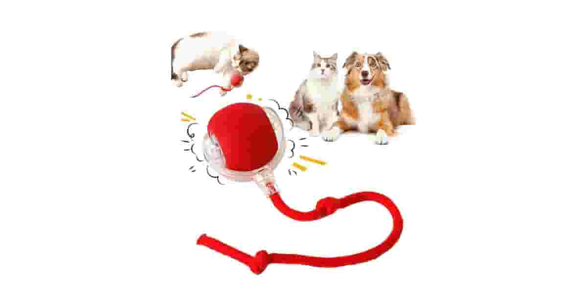 Qual o Melhor Brinquedo para Cães Sozinhos? Top 10