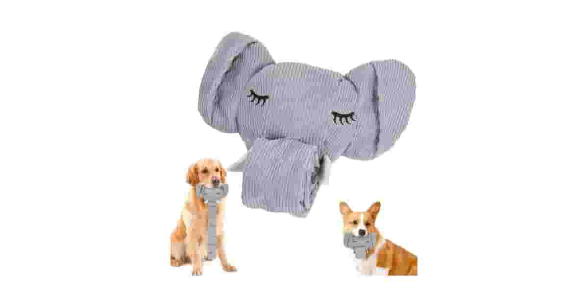 Qual o Melhor Brinquedo para Cães que Gostam de Barulho: Guia de Sons