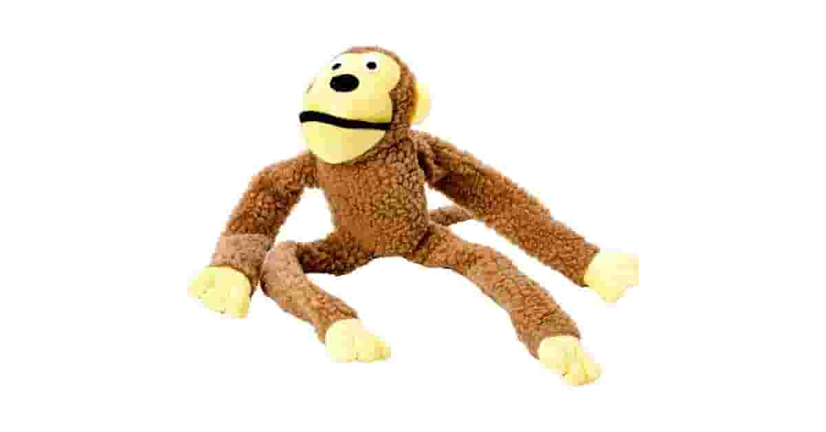 Qual o melhor brinquedo para cães que gostam de desatar nós