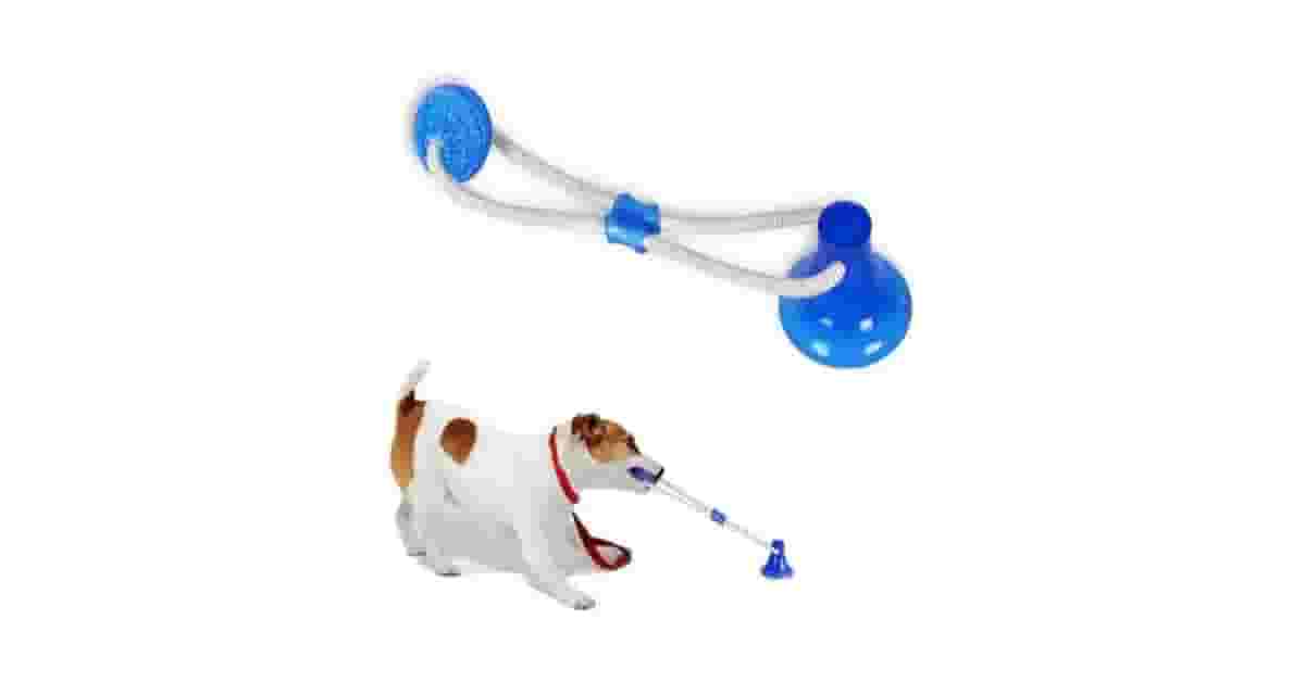 Qual o Melhor Brinquedo para Cães que Gostam de Puxar