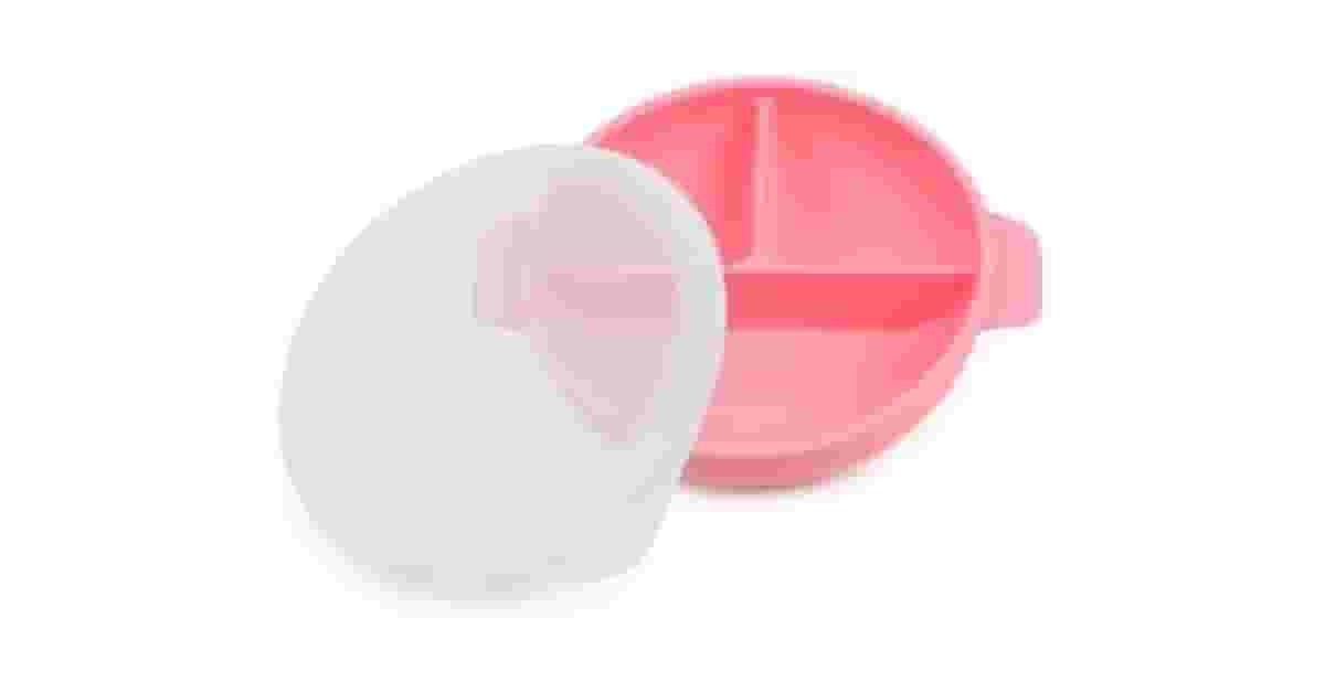 Qual o Melhor Prato de Silicone com Divisórias e Tampa?