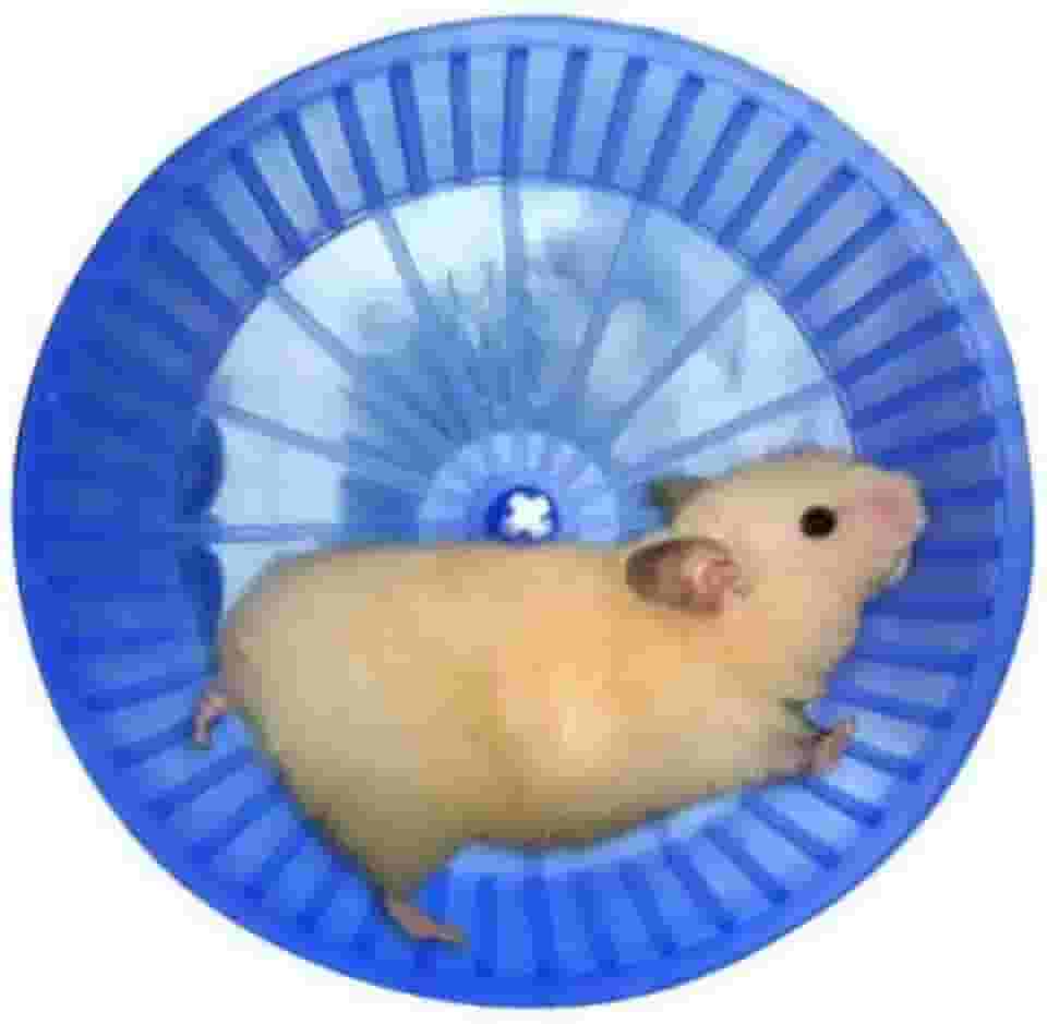 Mr Pet Roda Hamster de Plástico, Cores sortidas