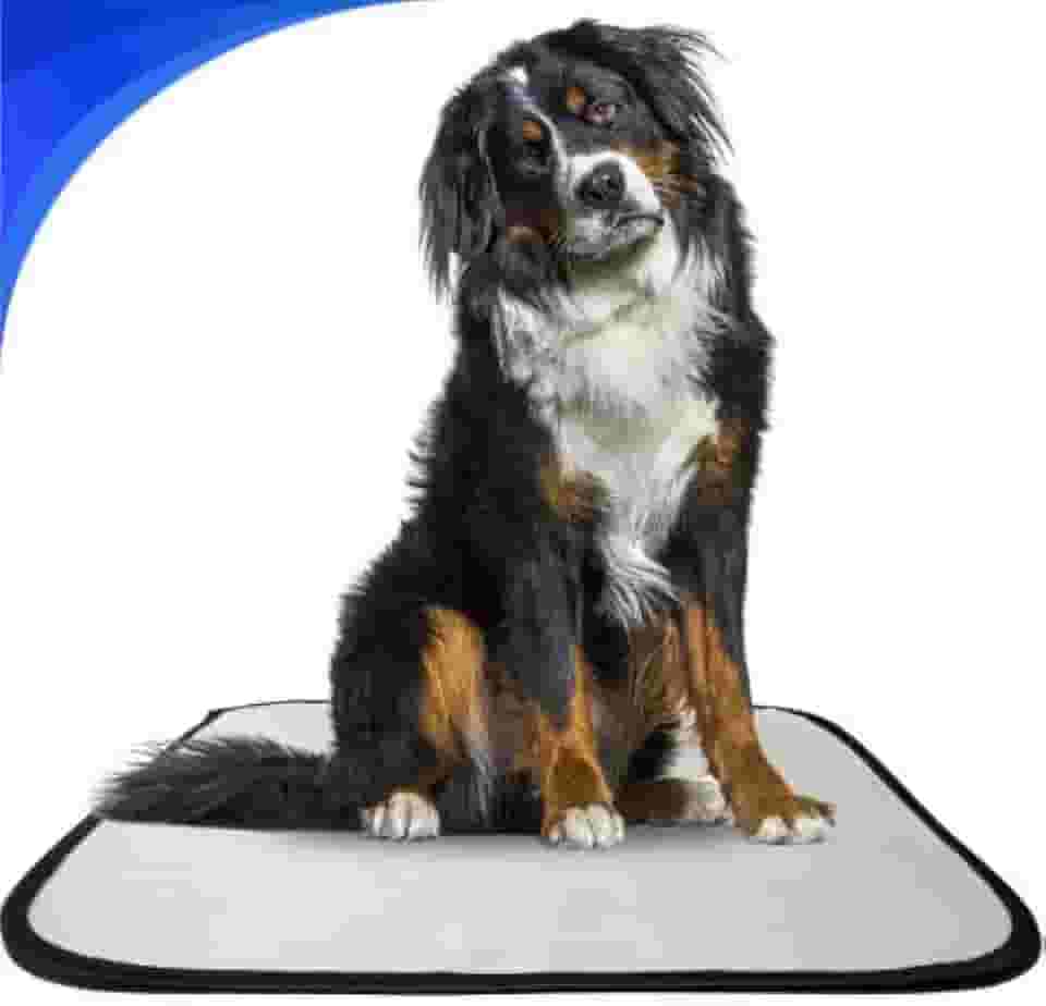 Kit 3 tapete higiênico lavável para cachorro, GG, 100 x90cm, sanitário pets , reutilizável,