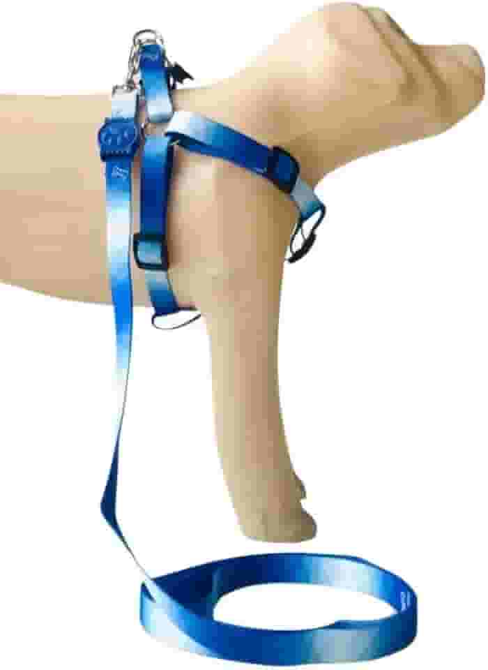 Conjunto Peitoral Coleira com Guia para Cachorros com Pingente para Identificação PP, Tamanho Ajustável, Confortável e Resistente