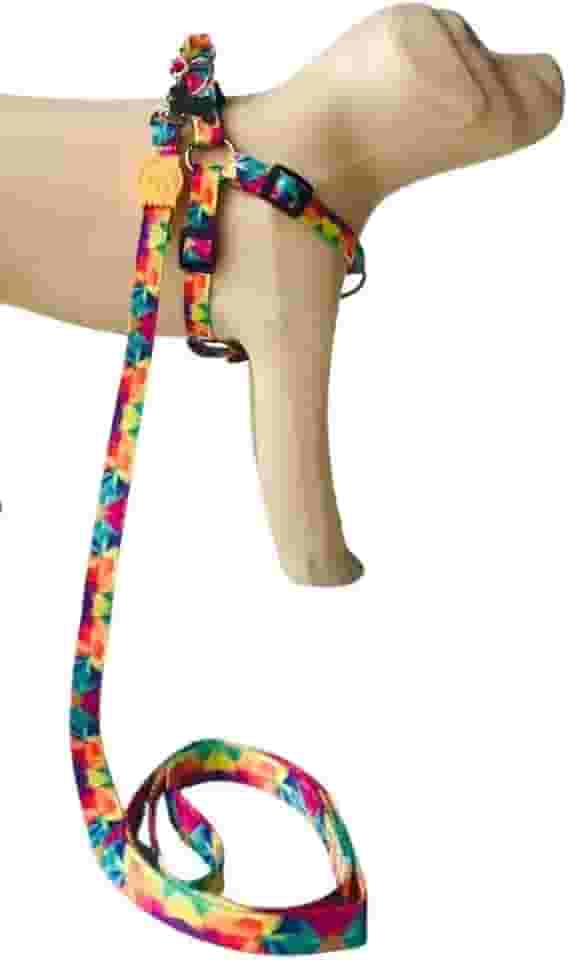 Conjunto Peitoral Coleira com Guia para Cachorros com Pingente para Identificação PP, Tamanho Ajustável, Confortável e Resistente