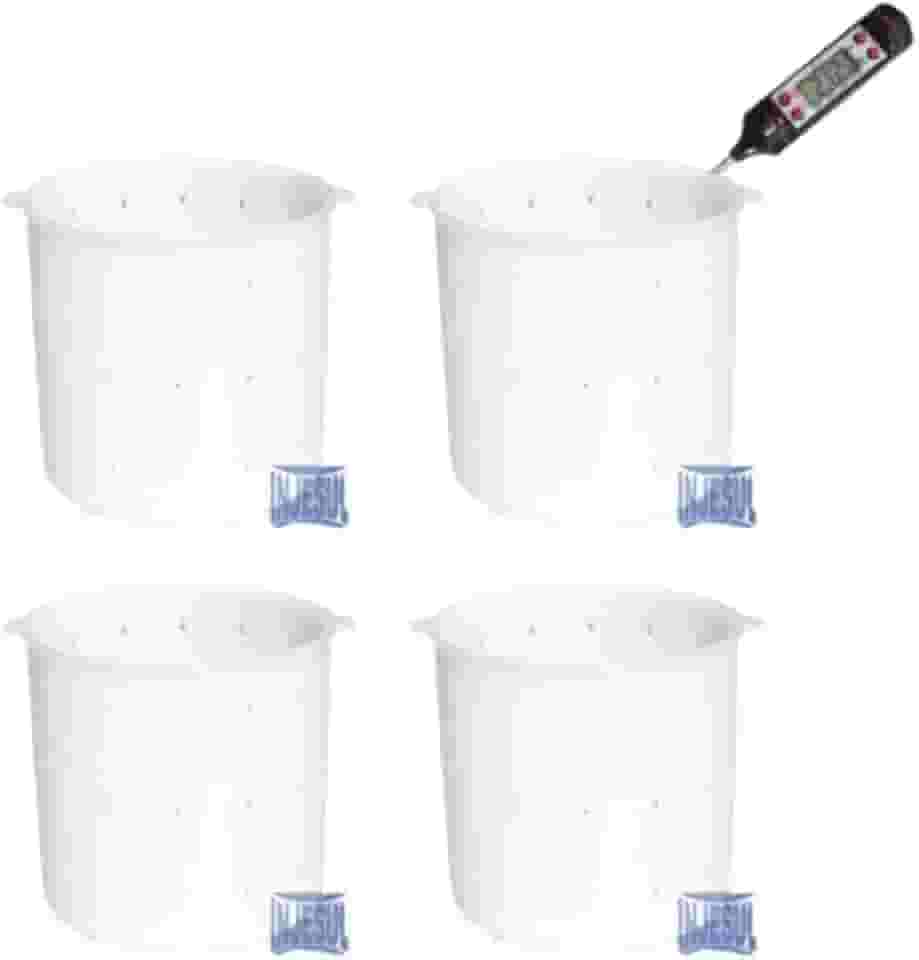 Kit 4 Formas de Queijo Minas Frescal Especial 500g + termômetro