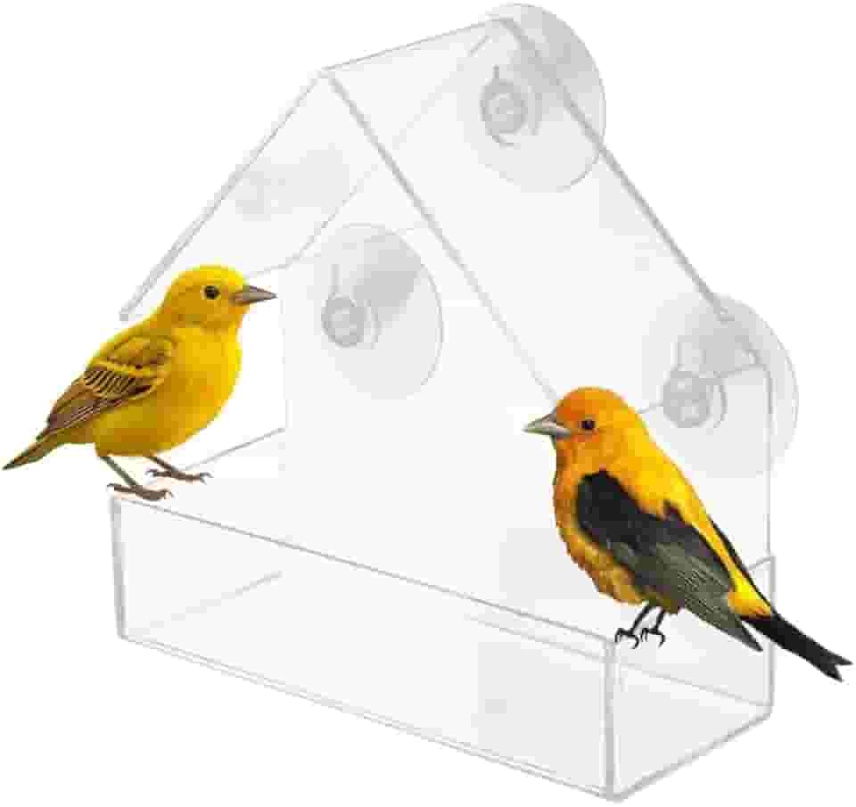 Casa Para Pássaros Livres Para Colocar Na Janela Alimentador de Passarinho