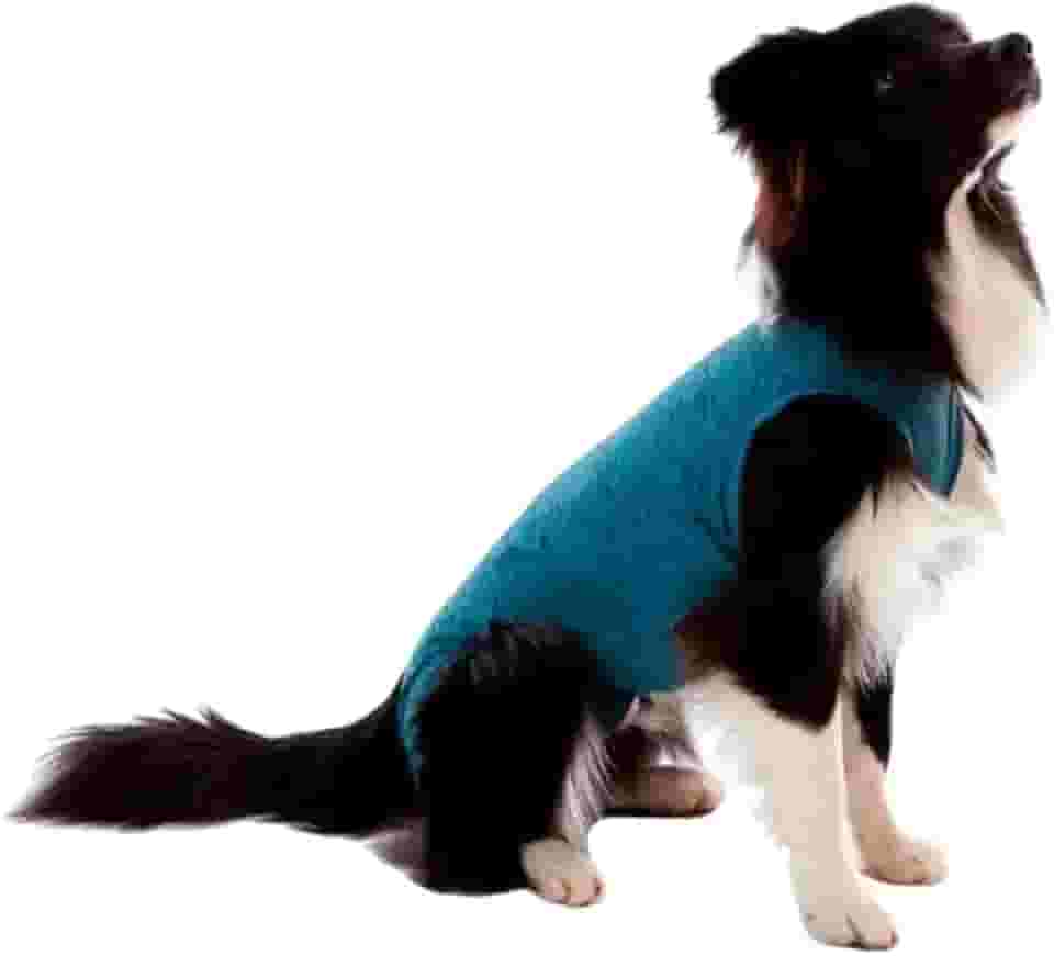 MY PET BRASIL Roupa Cirúrgica N.05 Pós-Cirurgia Pós-Operatório Roupa Para Cães Auxilia Na Recuperação Segura Macia E Confortável Verde