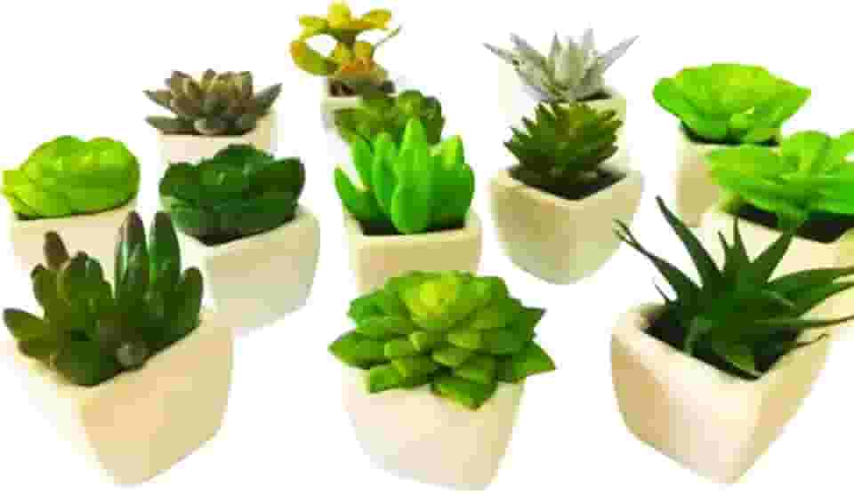 Conjunto com 6 Vasos de Cerâmica e Mini Suculentas Artificiais - Decore com Charme e Elegância!