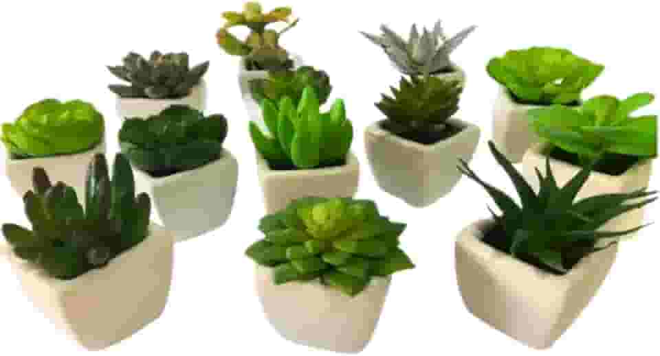 Vasos de Cerâmica e Mini Suculentas Artificiais Decore com Charme e Elegância - Conjunto com 12