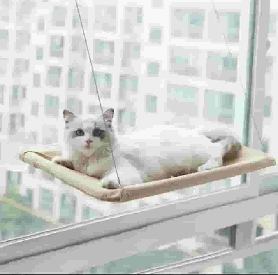 Cama de Janela Suspensa para Gatos com Ventosa