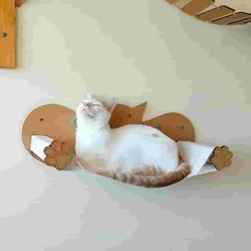 BOXFAN Rede Para Gato De Parede Em Mdf Desmontável Pet Cama de Gatos Suspensa Parede Redinha Caminha Pet Resistente