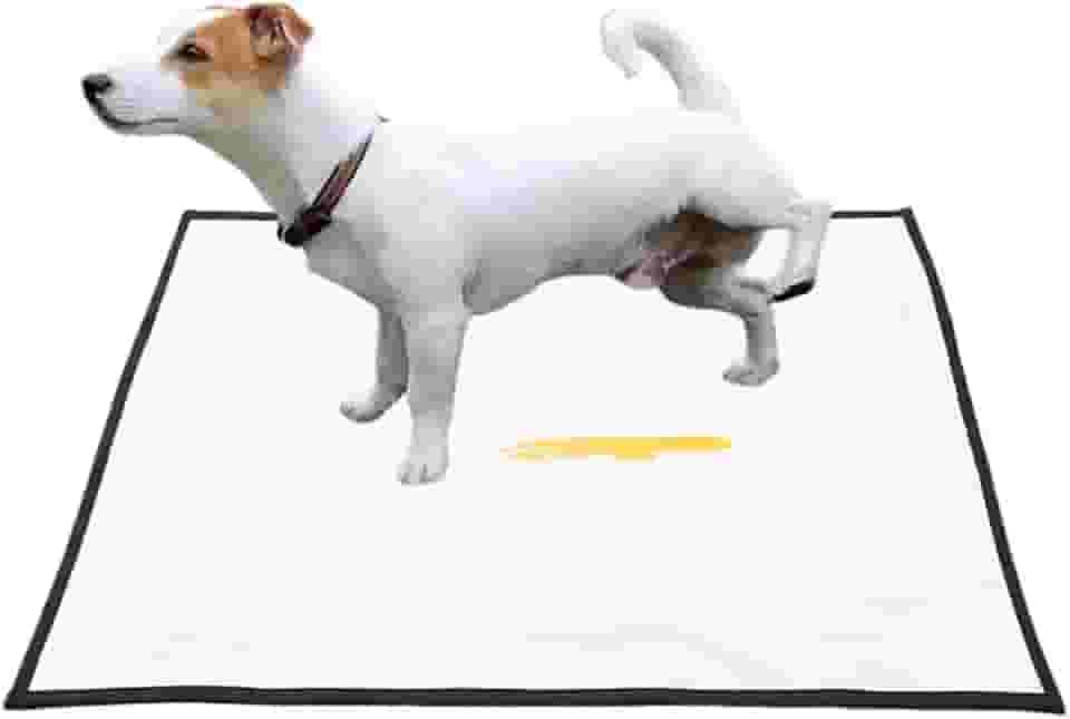 Tapete Higiênico M Xixi Para Cachorro Pet Lavável Reutilizável até 200 Lavagens