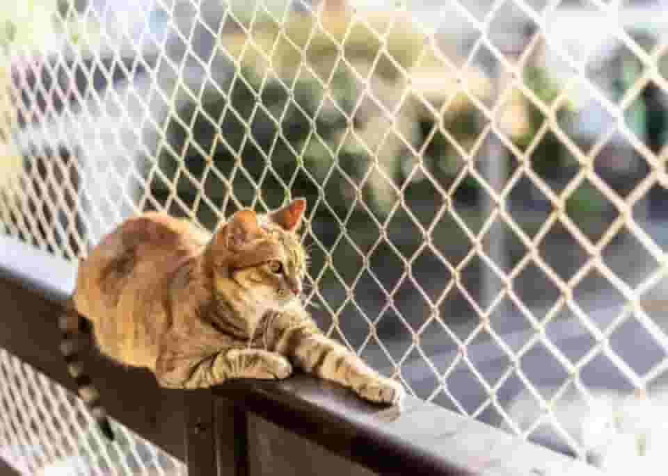 Kit Completo Rede Tela De Proteção Para Sacadas Janelas Gatos Crianças - 1,30m X 2,0m