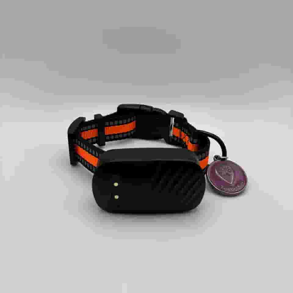 The Pet GPS Coleira Rastreadora GPS para Cães e Gatos, À Prova D'água, Fita Reflexiva, Monitoramento em Tempo Real, Alarme Sonoro e Cerca Virtual (Cachorro)