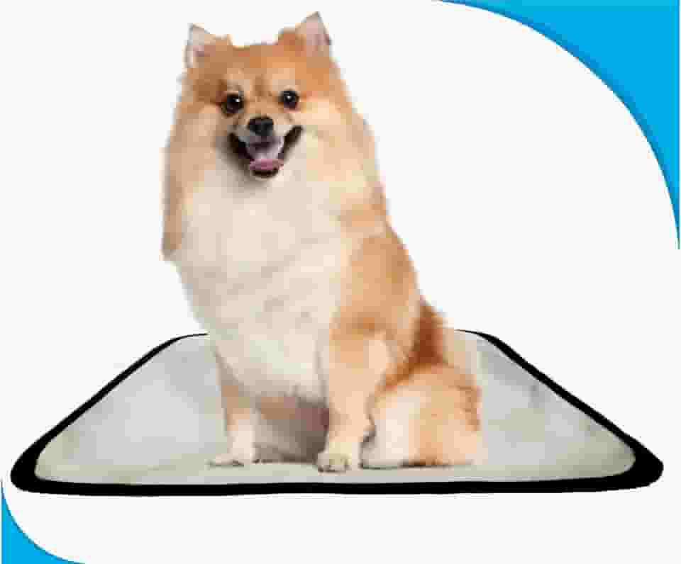 Fralda móvel pet para cachorros lavável 3un P 50x60 cm