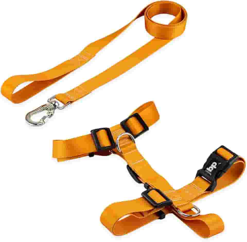 Basic Pet Coleira Peitoral Com Guia Para Cachorro Cães Modelo Tradicional H Tamanho Porte Grande Médio Pequeno (M, Caramelo)