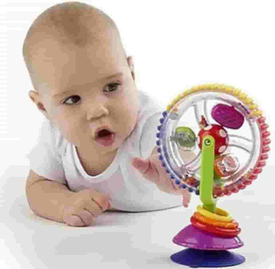 Brinquedo Rodinha Sensorial Giratoria Atividade Interativa