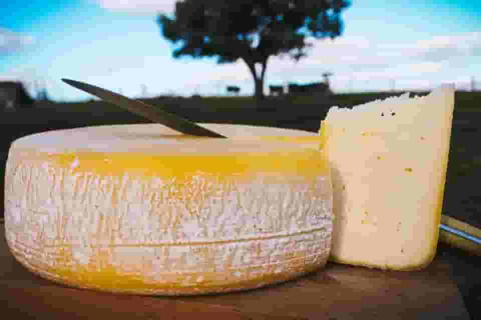 Queijo Minas Artesanal Meia Cura, 20 dias de Maturação, Semi-Duro, Produzido na região da Serra da Canastra - 1kg