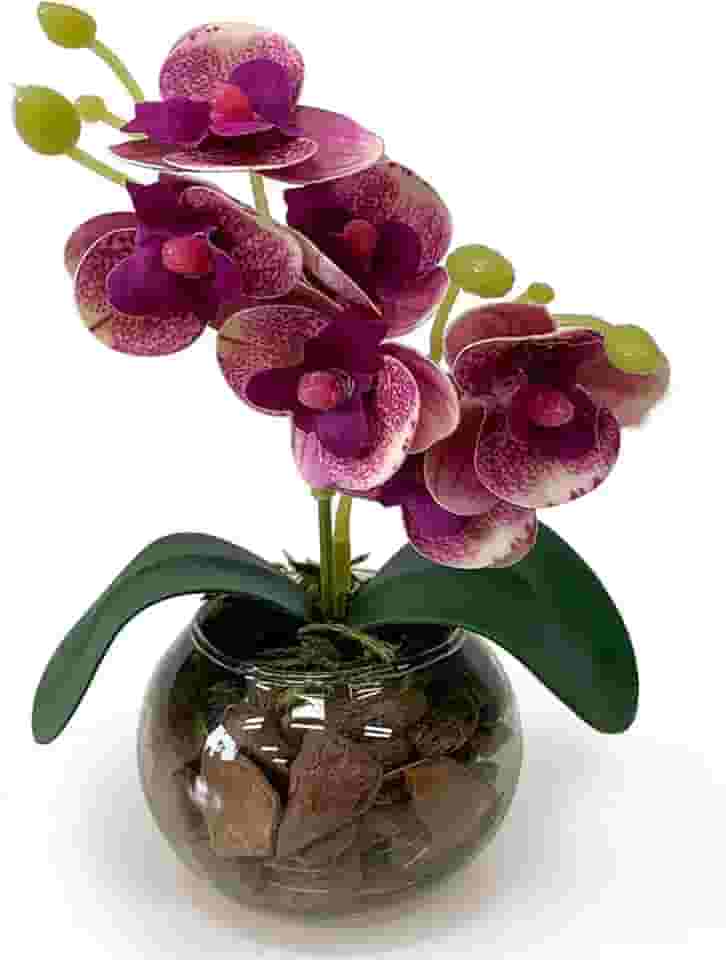 Arranjo Mini Orquídea Artificial no Vaso de Vidro Transparente com Casca – Decoração Sofisticada (Roxo)