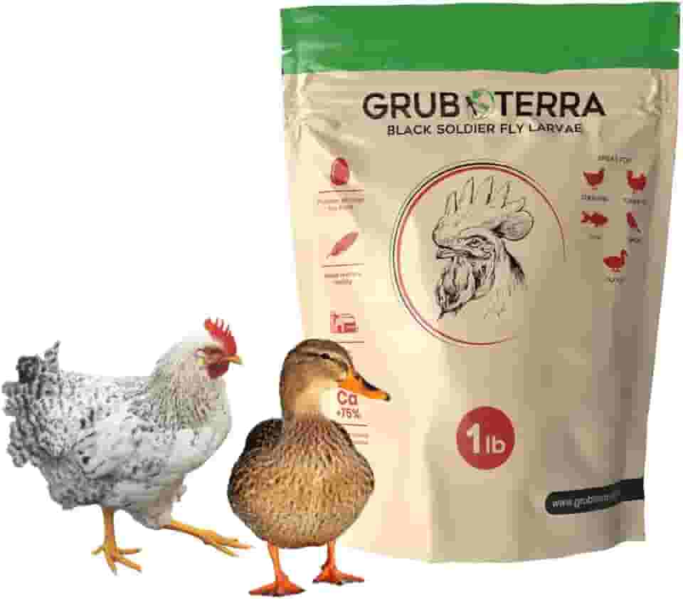 GrubTerra Golden Dried Black Soldier Fly Larvas - Suplemento premium para aumentar a produção de ovos para galinhas, ração para pássaros, alimentador de frango, ração para pássaros de animais de