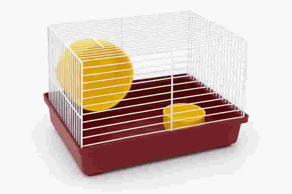 Gaiola para Hamster Pequeno com Rodinha de Exercício e Comedouro – Estrutura de Ferro Branca e Base Plástica Vermelha Resistente