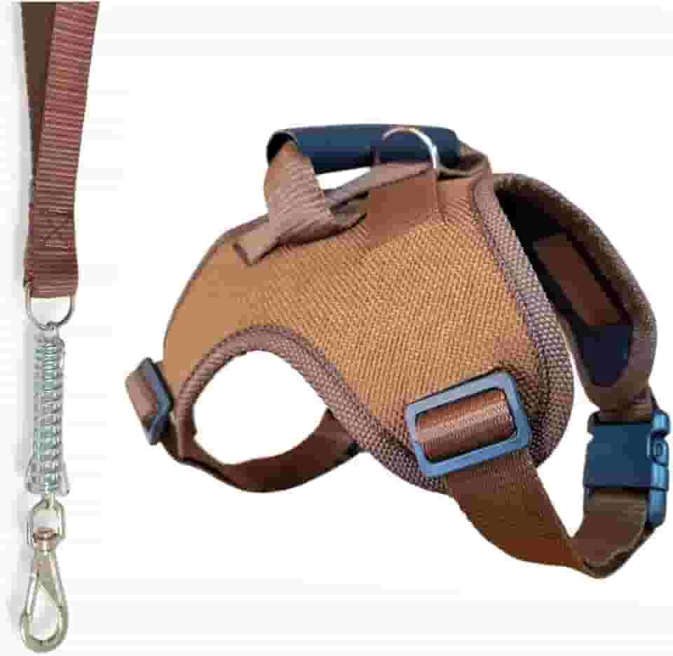 Coleira de passeio para cachorros grandes confortável com regulagens e guia amortecedor de impacto(Marrom,G)