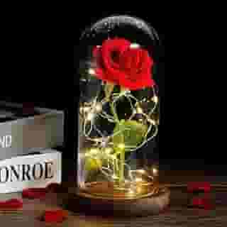 Cúpula Redoma Rosa Encantada Inspirada A Bela E A Fera Grande 20 Cm Flor Vermelha Artificial Decoração Presente Dia dos Namorados Natal Aniversário Lembrancinha - LVLOGISTICA